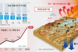 두 달 새 강릉 바싹 말린 ‘돌발가뭄’… 대형 산불 같은 재난 부른다