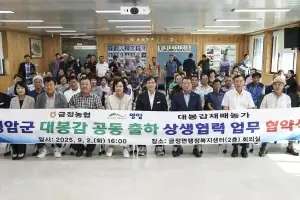 영암군, ‘착과율 저하’ 대봉감 장려금 지원