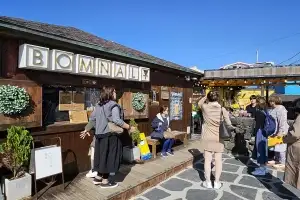 202-4번, 111-1번… 한담해변·성산항 가는 버스 더 생긴다