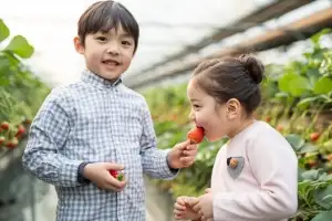 4년 전까지 국내서도 널리 쓰인 살충제, 유아 뇌 기능 장애 일으킨다