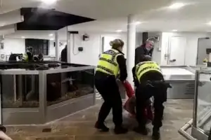 “랍스터가 불쌍해”…레스토랑 수조서 꺼내 바다에 풀어준 여성, 절도 혐의 재판행