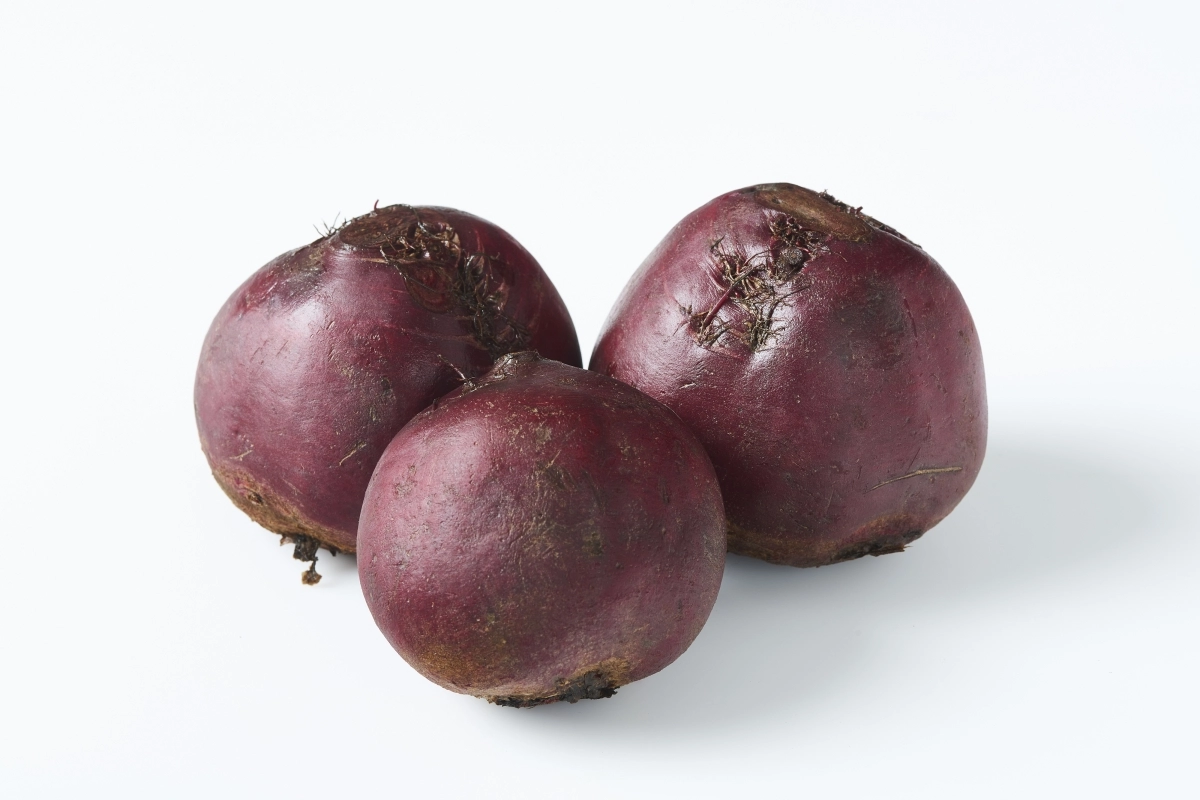 비트 자료 이미지. 아이클릭아트