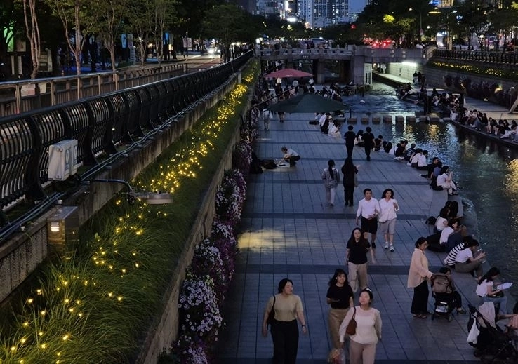 청계천 모전교에서 광통교 사이 약 100m 구간 수변 녹지대에 설치되어 있는 반딧불이 경관조명 모습이다.