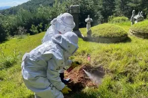 경남 벌 쏘임 사고 절반 8·9월 집중…“벌초객 등 각별히 주의해야”