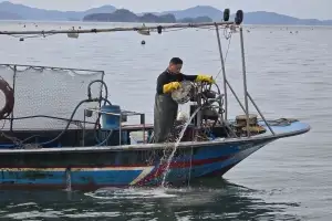 전남도, 어선원 재해보험료 지원 대폭 확대