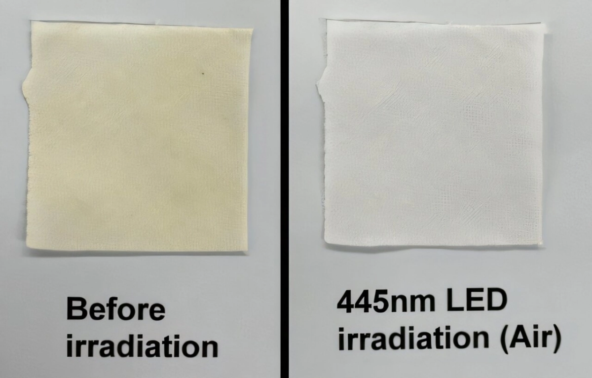 면에 묻은 땀 얼룩(왼쪽)을 청색광 LED 조명에 10분간 비추자 노란색이 눈에 띄게 제거됐다. 미국화학회(ACS) 제공