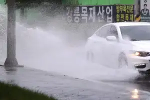 [포토] 비 내리는 강릉