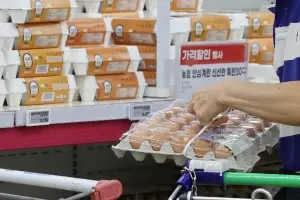 추석 다가오는데… 계란값 언제쯤 내릴까