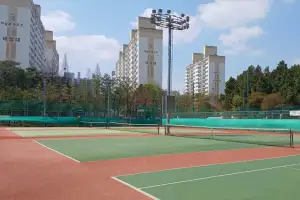 “어쩐지 테니스장 예약 힘들더라”…서울시, 공공서비스 예약 ‘매크로’ 싹 막는다