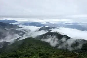 [포토] 구름·안개 자욱한 지리산 노고단