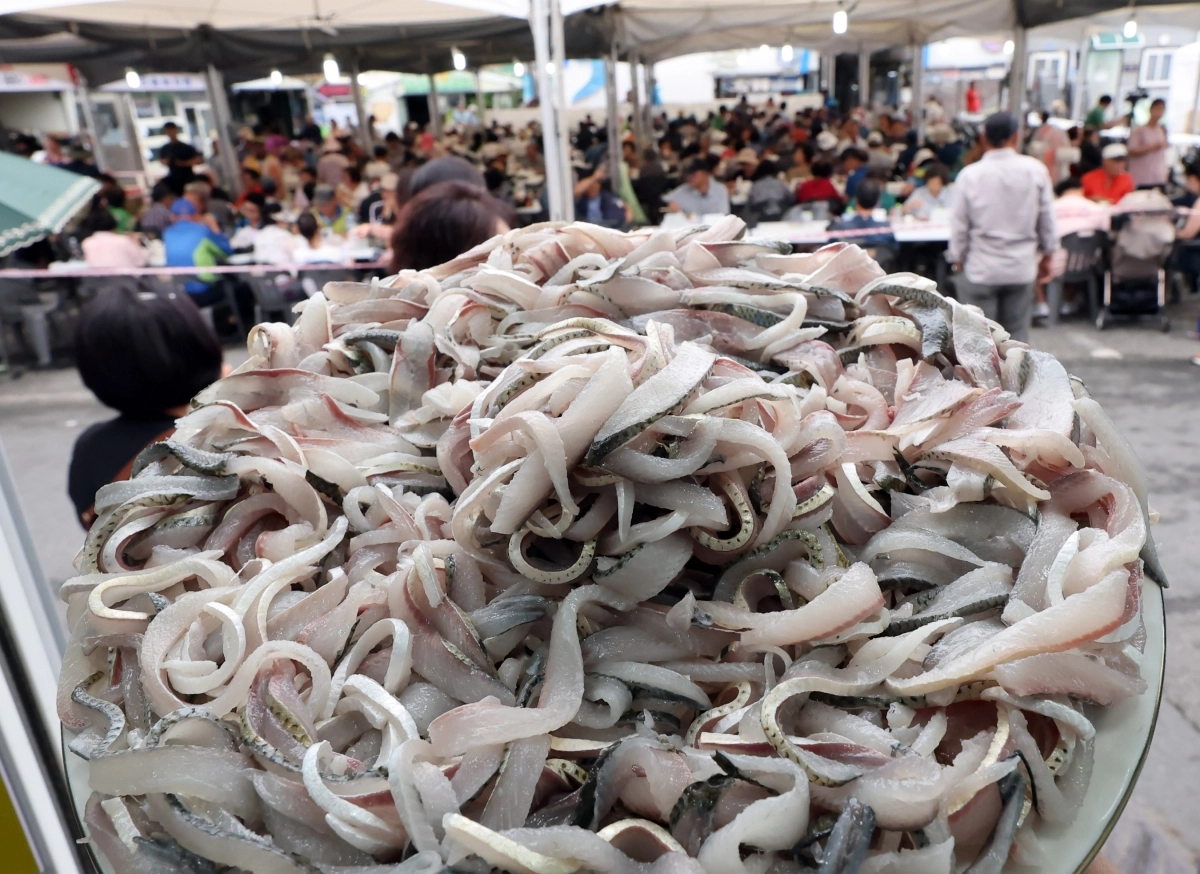 “전어회 먹으러 오세요”