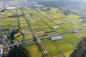 “제천 의림지 논두렁 체육대회 참가하세요”