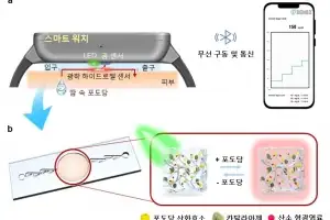 피 대신 땀으로…포항공대 연구팀, 혈당 측정 스마트워치 개발
