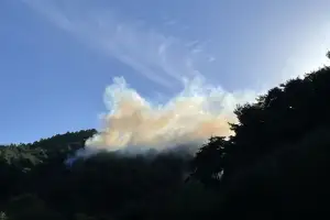 경북 봉화 야산서 실화 추정 불…1명 화상, 0.2㏊ 피해