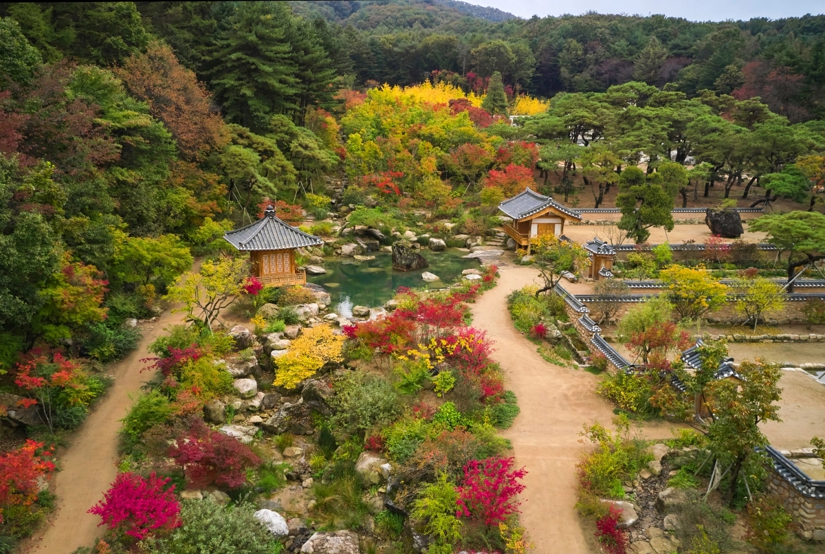 메덩골 한국정원 전경. 메덩골 제공