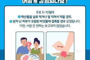 전남도, 비브리오패혈증 주의 당부