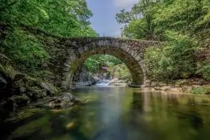 ‘2025 세계유산축전 선암사, 순천갯벌’ 개막식···12일 오천 그린아일랜드