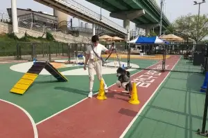 금천구, 반려동물 문화교실에서 ‘다함개 성장해’