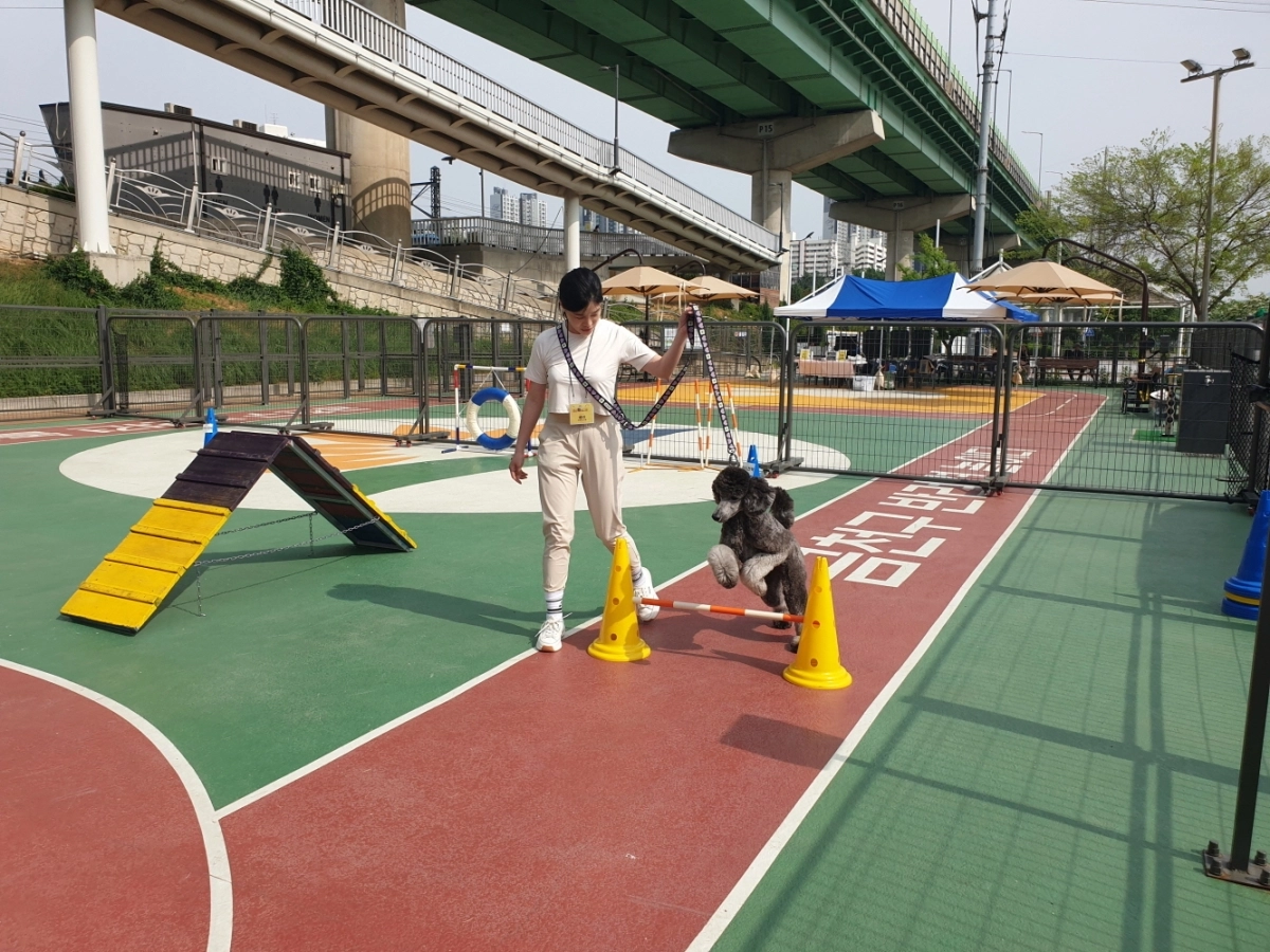 금천 ‘반려동물 문화교실’