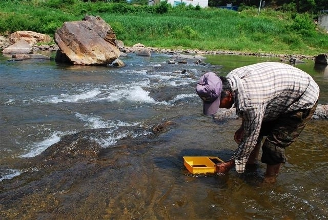 위 기사와 관계없는 자료사진. 한 주민이 강가에서 다슬기를 잡고 있다. 서울신문 DB