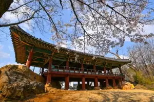 달빛에 비친 ‘죽서루’…삼척 야행 26일 개막