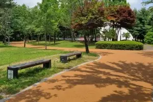 경기도, 어린이 놀이터에 ‘탄소중립 실천’…코르크 바닥재로 기후위기 대응 선도