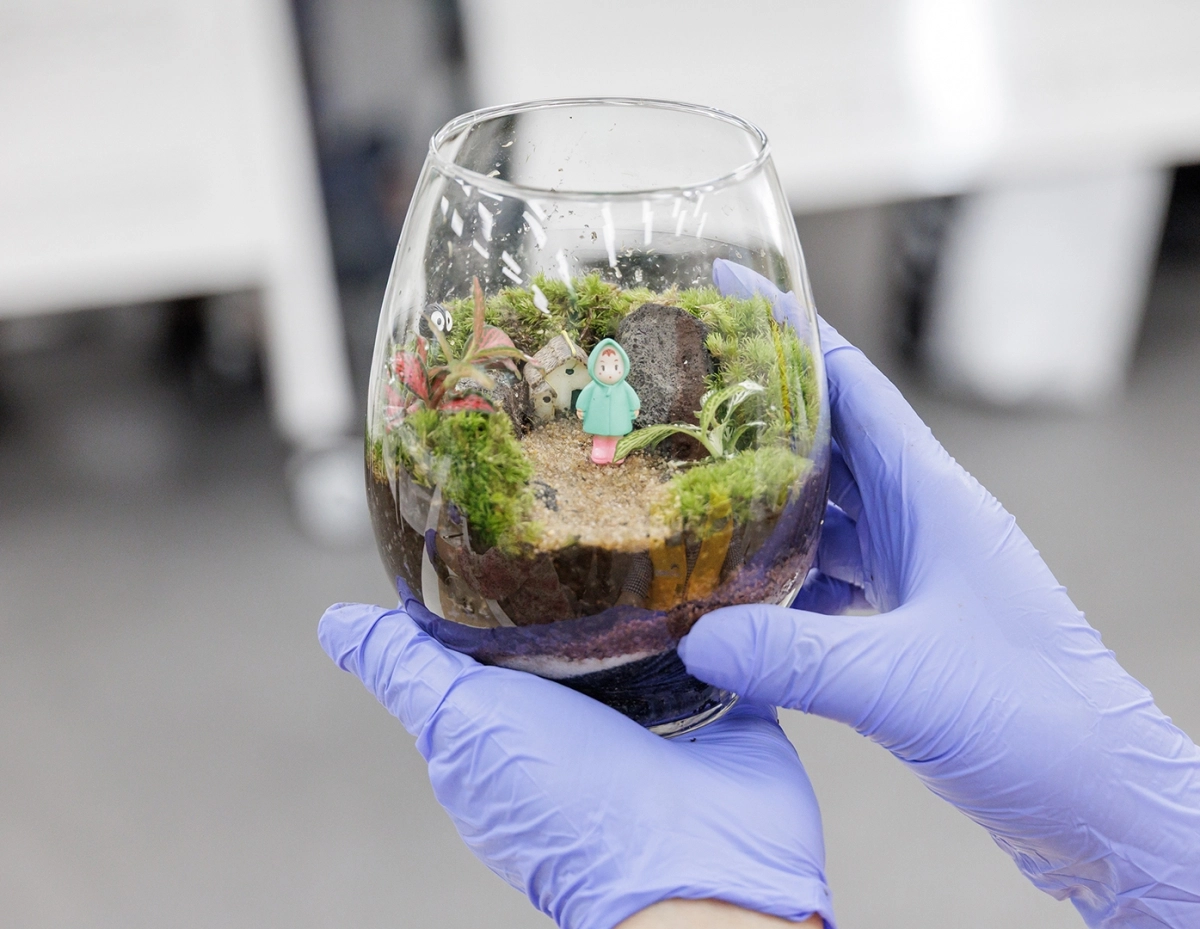 강서구, 홀몸 어르신 ‘이끼테라리움 원데이클래스’