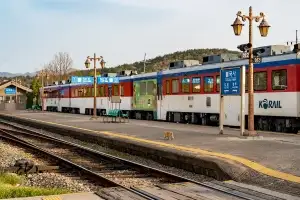 코레일 “선착순으로 기차 티켓 50% 할인”…신청 시기와 방법은