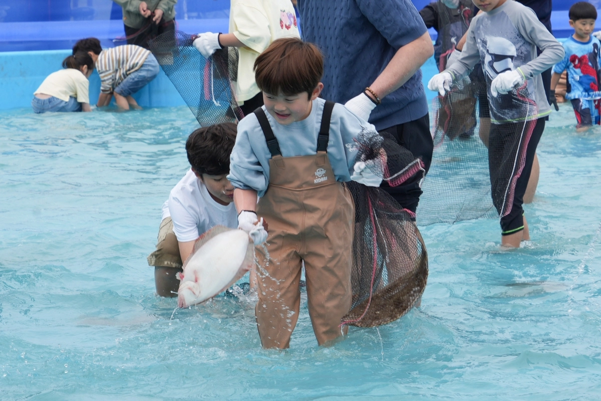 충남 서천군 수산물 축제에서 참가자들이 물고기를 잡고 있다.  서천군 제공