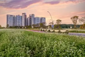 “DK아시아, 인천 최고 핫플레이스 개장” 로열파크씨티Ⅱ, 국내 최대 순백의 메밀꽃과 황토 십리길 9월 20일 오픈