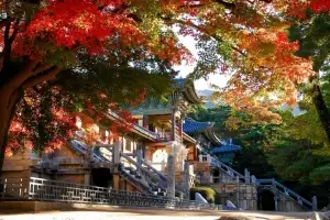 특별한 시간에 만나는 세계유산…경주 세계유산축전 프로그램 눈길