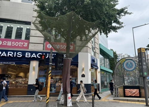 서울 서대문구가 지하철 이대역 주변에 은행나무 열매수집망을 설치한 모습.   서대문구 제공