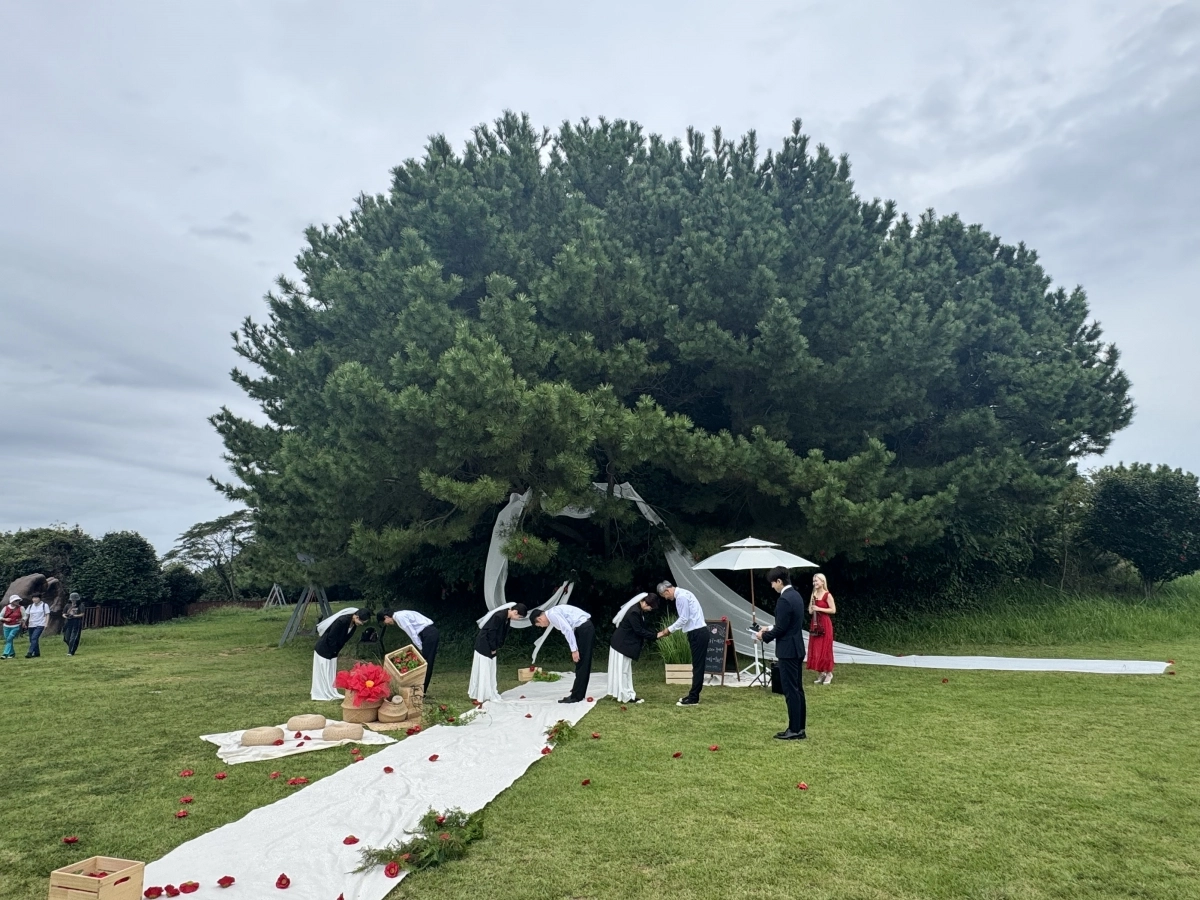 19일 경남 거제 지심도에서 열린 결혼식에서 부부들이 맞절하고 있다. 2025.9.19. 이창언 기자