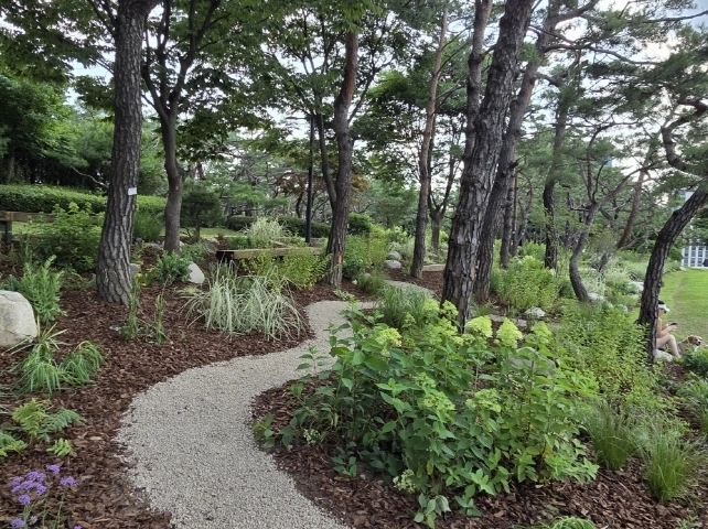 서울시 남산·낙산공원 일대에 조성된 ‘도시바람길숲’. 서울시 제공