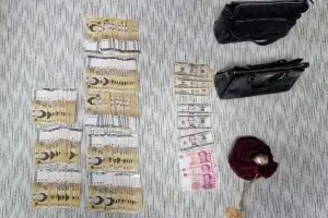 “재산 없다”던 중국인 체납자 집 갔더니…쏟아져 나온 ‘비싼 것’들