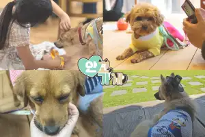 안고가개, 세계 최초 ‘유기동물 교감여행’… 농림축산식품부와 지자체도 벤치마킹