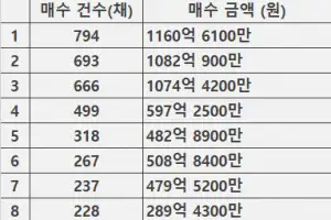 ‘큰 손’ 10명이 6년간 주택 4115채 사들였다