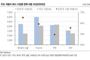 현대차그룹, 선진국 시장 판매 비중 65%…재무 여력 버틸 수 있지만 대미 관세율 인하 시급