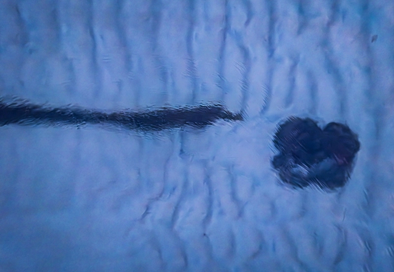 사진=김동필 작가 제공