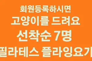 “필라테스 등록하면 고양이 드려요” 대구서 논란…경찰 수사