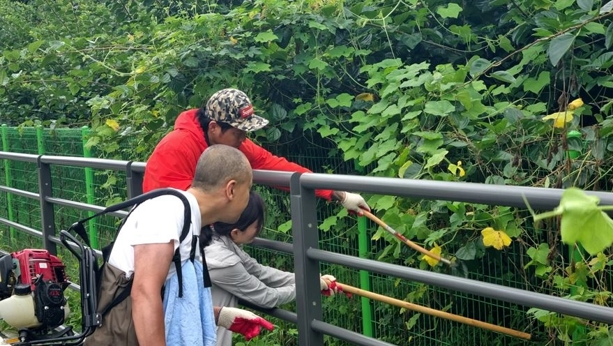 강동구 ‘좋은도시포럼’과 함께 한강공원 생태교란 식물 제거 모습