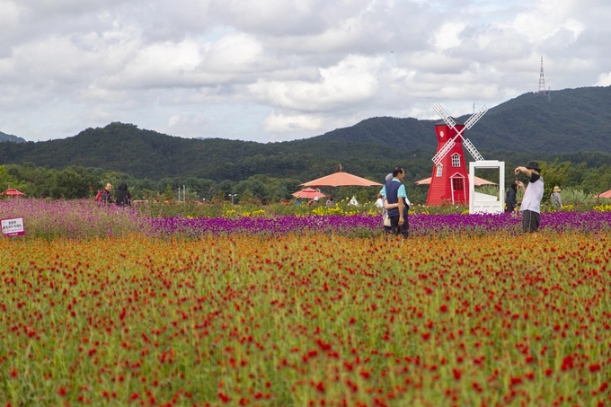 양주 나리농원 (경기관광공사 제공)