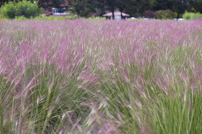 하남 미사경정공원(경기관광공사 제공)