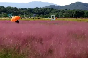[포토] ‘가을 속으로’