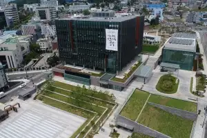 춘천시, 은행나무 열매 무료 ‘나눔’