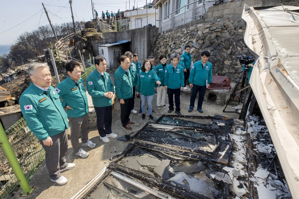 지난 4월 7일 산불대책특별위원회 산불피해현장 확인. 경북도의회 제공