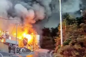 청송군 돼지우리서 화재…새끼 9600여마리 떼죽음