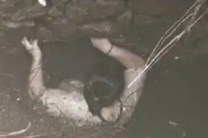 물뱀 우글대는 우물서 54시간이나…벽 붙잡고 살아남은 中 여성