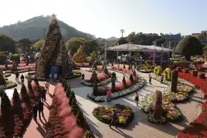 스포츠·예술·미식… 남도에선 축제가 익어간다