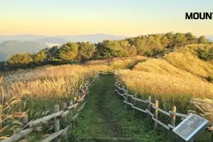 가을빛 물드는 10월… 마운틴TV, 억새·단풍 즐기기 좋은 산행지 소개